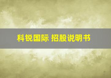 科锐国际 招股说明书